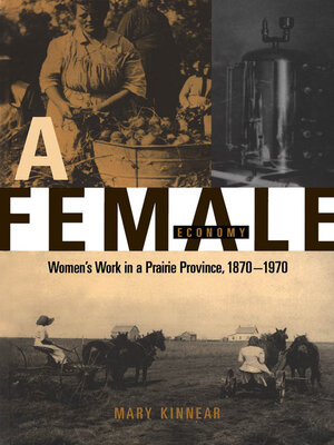 cover image of Female Economy